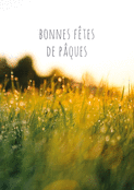 Lumi&egrave;re printani&egrave;re pour P&acirc;ques joyeuses